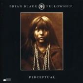 Album artwork for Brian Blade: Perceptual