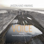Album artwork for Voice