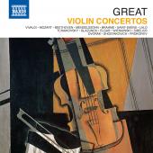 Album artwork for Great Violin Concertos