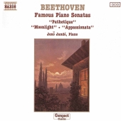 Album artwork for Beethoven: Famous Piano Sonatas (Jando)