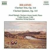 Album artwork for Brahms: Clarinet Trio & Quintet / Bologh, Danubius