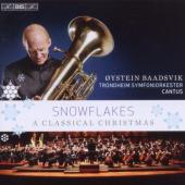 Album artwork for Snowflakes - A Classical Christmas