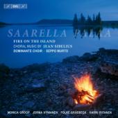 Album artwork for Sibelius: Saarella palaa / Fire on the Island