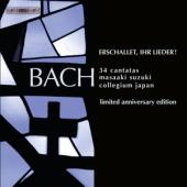 Album artwork for Bach: Cantatas Box 1 / Suzuki