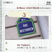 Album artwork for DIE VERLIEBTE: COMPLETE WORKS FOR SOLO PIANO, VOL.