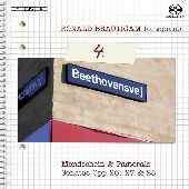 Album artwork for BEETHOVEN: COMPLETE WORKS FOR SOLO PIANO - VOLUME 