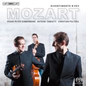 Album artwork for Trio Zimmermann plays Mozart's Divertimento