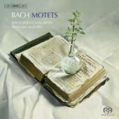 Album artwork for Bach: Motets / Suzuki, Bach Collegium Japan