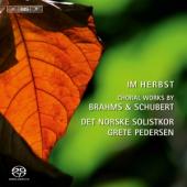 Album artwork for Im Herbst - choral works by Brahms and Schubert