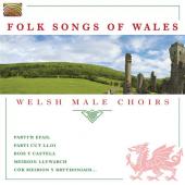 Album artwork for Folk Songs of Wales