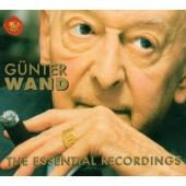 Album artwork for GUNTER WAND - THE ESSENTIAL RECORDINGS
