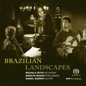 Album artwork for Brazilian Landscapes