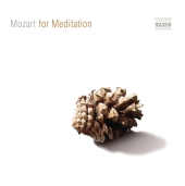 Album artwork for MOZART FOR MEDITATION