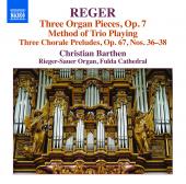 Album artwork for Reger: Organ Works vol.16 