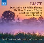 Album artwork for Liszt: Music for Violin & Piano
