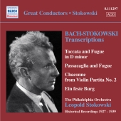 Album artwork for Bach: Stokowski Transcriptions (Stokowski)