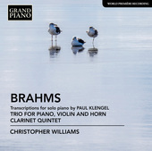 Album artwork for Brahms: Transcriptions for Piano