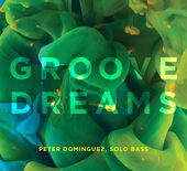 Album artwork for Groove Dreams / Peter Dominguez