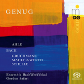 Album artwork for Genug