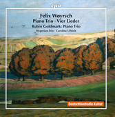 Album artwork for Woyrsch: Piano Trio in E Minor & 4 Lieder - Goldma