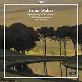 Album artwork for Walter: Symphony in D Minor / Botstein