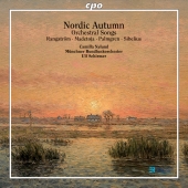Album artwork for NORDIC AUTUMN- ORCHESTRAL SONGS