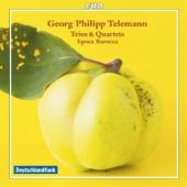 Album artwork for Telemann: Trios and Quartets