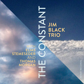 Album artwork for Jim Black Trio - The Constant