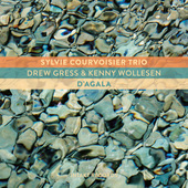 Album artwork for D'Agala / Sylvie Courvoisier Trio