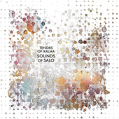 Album artwork for Sounds of Salo (LP)