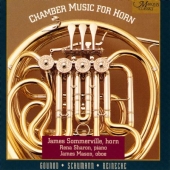 Album artwork for CHAMBER MUSIC FOR HORN