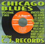 Album artwork for Chicago Blues From C.j. Records 2 