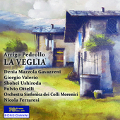 Album artwork for La Veglia