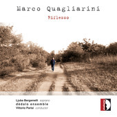 Album artwork for Marco Quagliarini: Rifflesso