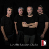 Album artwork for LowBb Bassoon Cluster