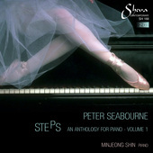 Album artwork for Peter Seabourne: Steps, Vol. 1