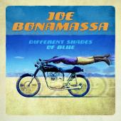 Album artwork for Different Shades Of Blue / Joe Bonamassa