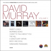 Album artwork for David Murray: Complete Black Saint Vol. 2