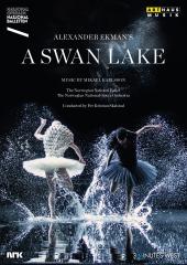 Album artwork for Swan Lake / Ekman, Karlsson