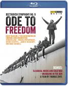 Album artwork for Ode to Freedom (BluRay)