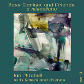 Album artwork for Bass Clarinet & Friends: A Miscellany
