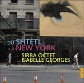 Album artwork for FROM THE SHTETL TO NEW YORK