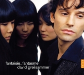 Album artwork for DAVID GREILSAMMER: FANTAISIE_FANTASME
