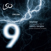 Album artwork for Mahler: Symphony No 9 / Gergiev