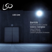 Album artwork for Bartok: Bluebeard's Castle / Gergiev