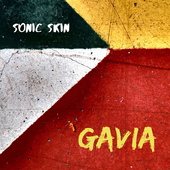 Album artwork for Gavia