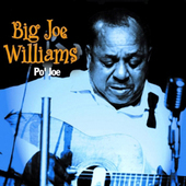 Album artwork for Big Joe Williams - Po' Joe 