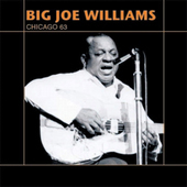 Album artwork for Big Joe Williams - Live Chicago '63 