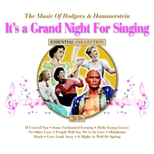 Album artwork for It's A Grand Night For Singing: The Music Of Roger