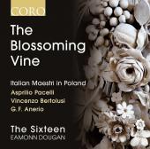 Album artwork for The Blossoming Vine: Italian Maestri in Poland / S